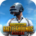 pubg国际服手游正版地铁逃生2.5