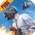 pubg mobile国际服官方2.5版