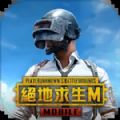 pubg国际服地铁逃生手游正版手机版