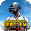 pubg国际服手游体验服地铁逃生正版