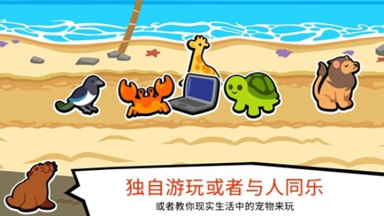 小动物自走棋全动物最新版